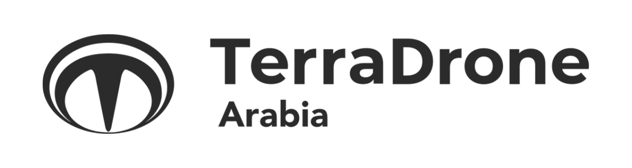 TerraDrone