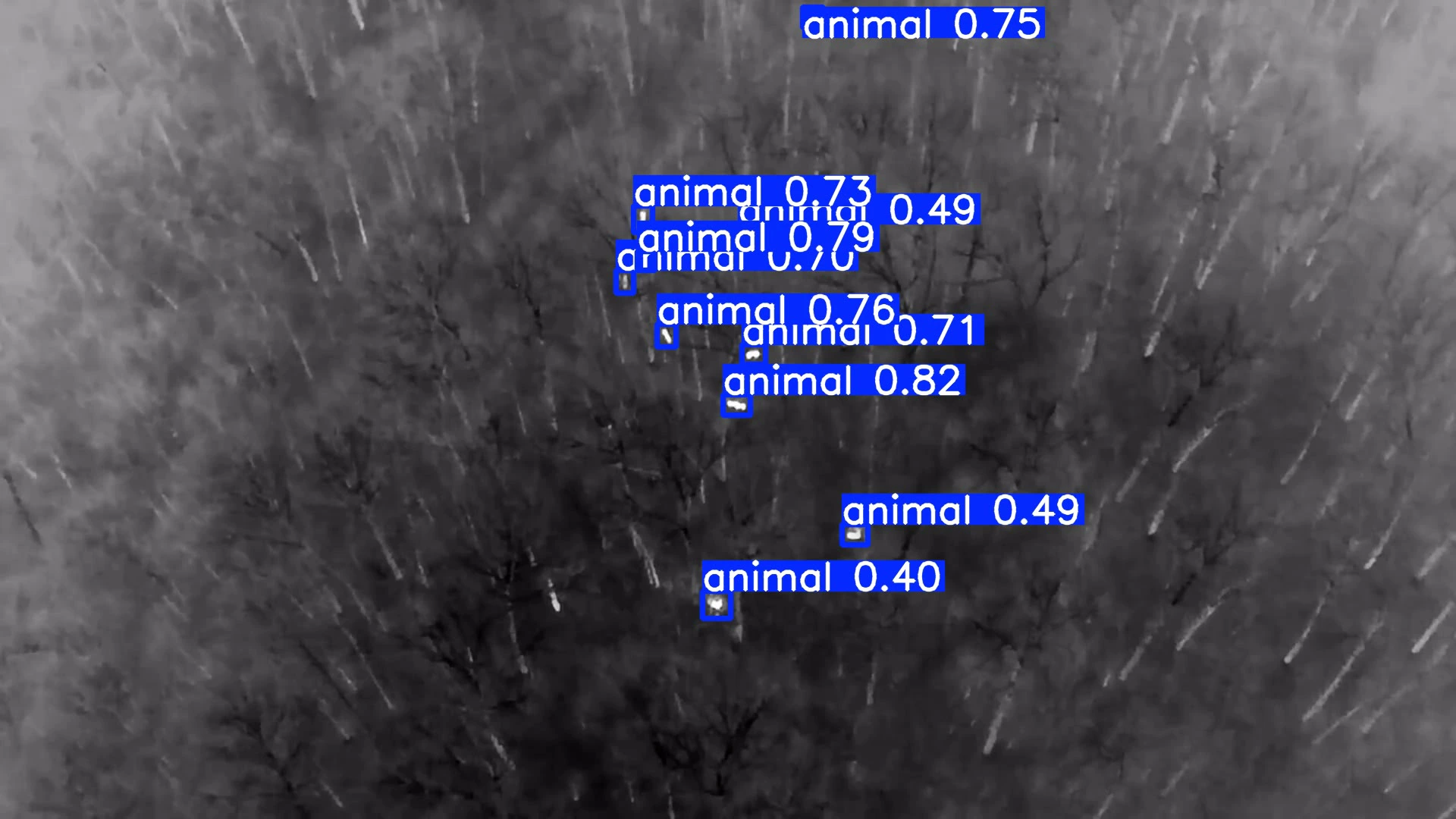 AI thermal animal detection drone