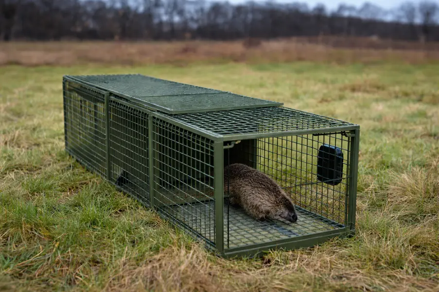 Smart Trap Monitoring System