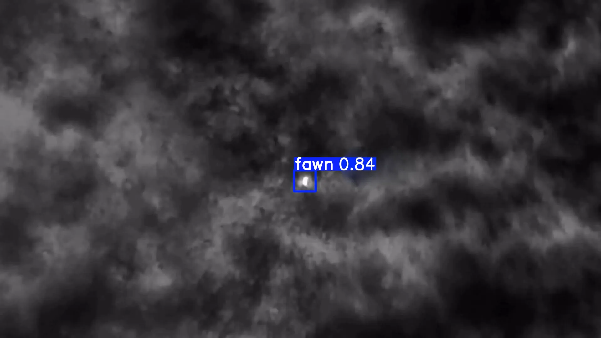 Thermal fawn detection in grass