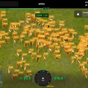 Cow Detection