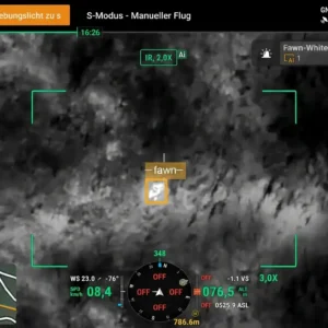 Fawn (Thermal)