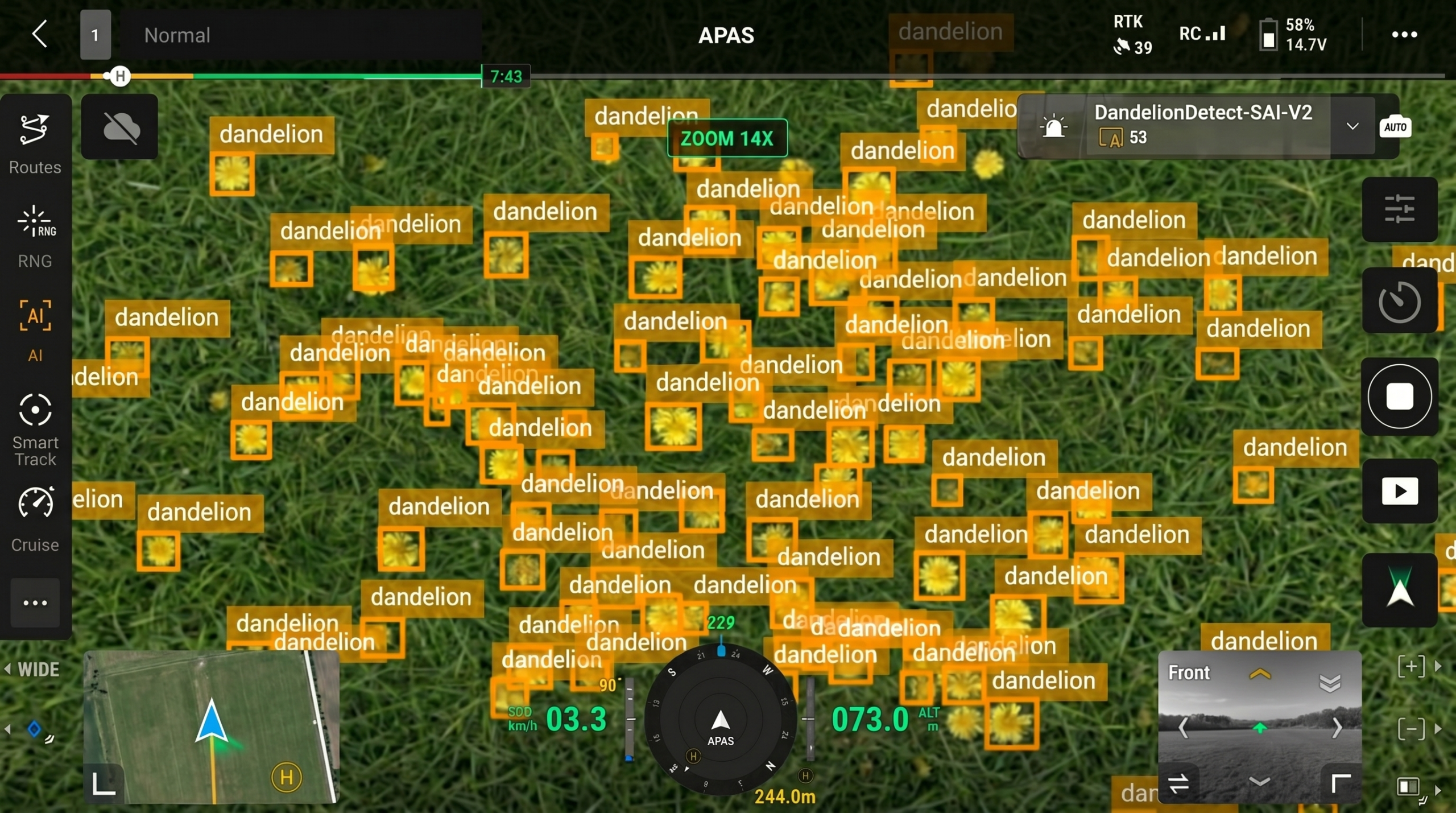 Dandelion Detection AI